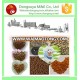 Animal Food / Pet Dog Food Production Line for Manufacturer